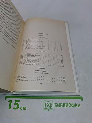 Одеты камнем. Радищев. Михайловский замок