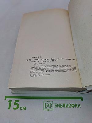 Одеты камнем. Радищев. Михайловский замок
