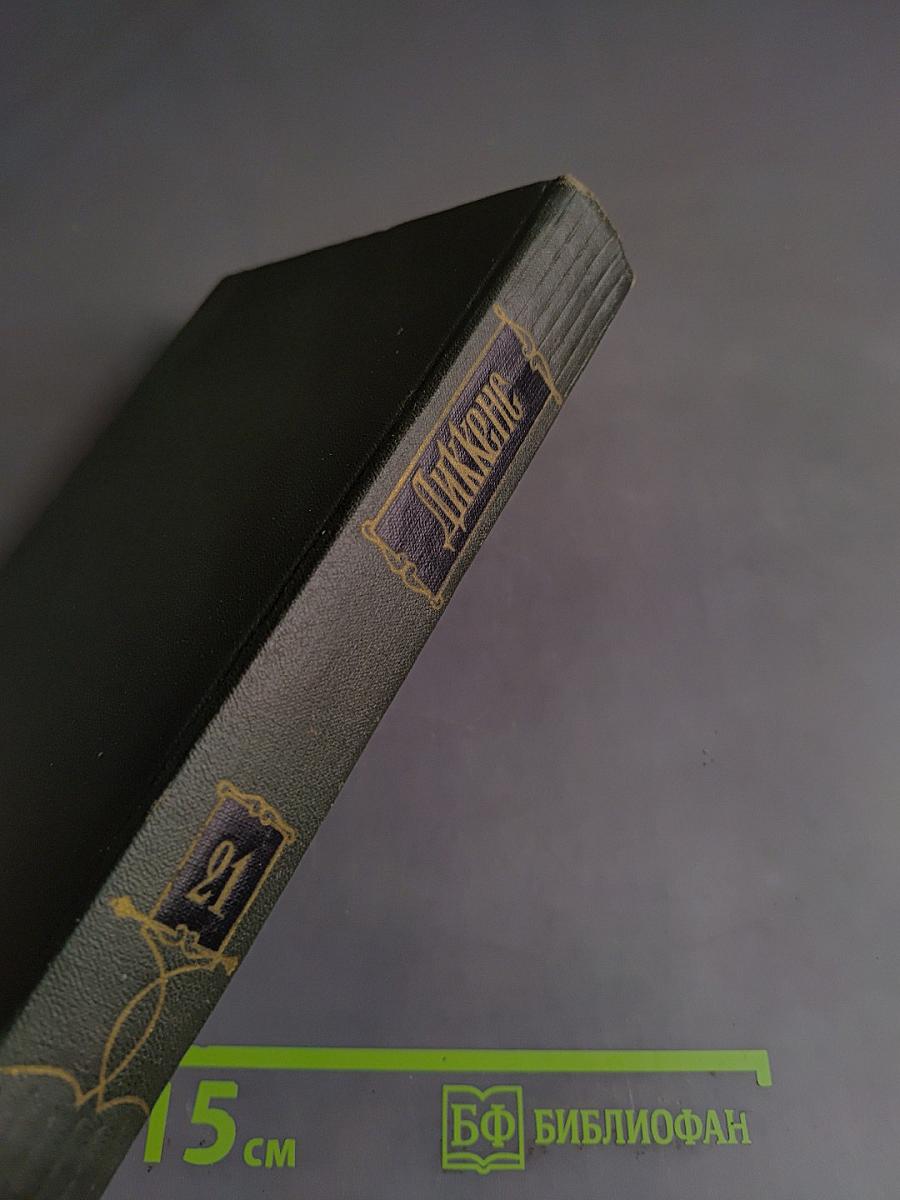 Собрание сочинений. Том двадцать первый. Крошка Доррит. Книга вторая