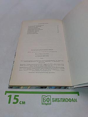 Хрупкая веточка