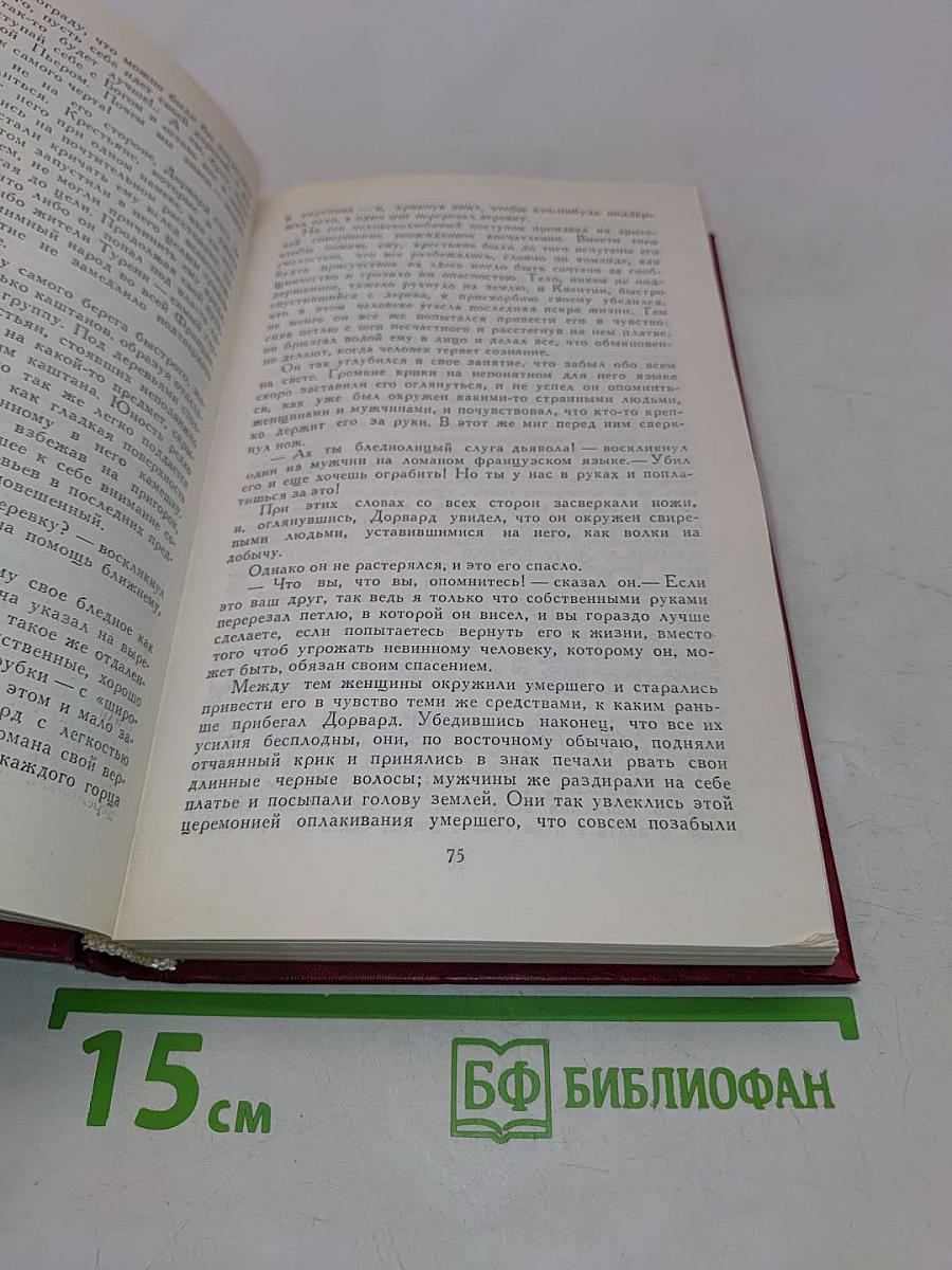 Квентин Дорвард. Том 8