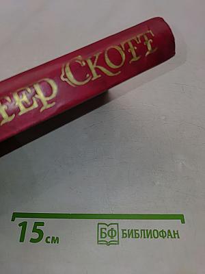 Квентин Дорвард. Том 8