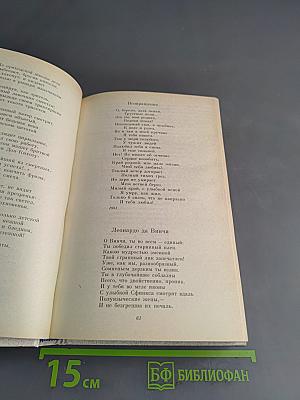 Серебряный век. Петербургская поэзия конца XIX - начала XX в.