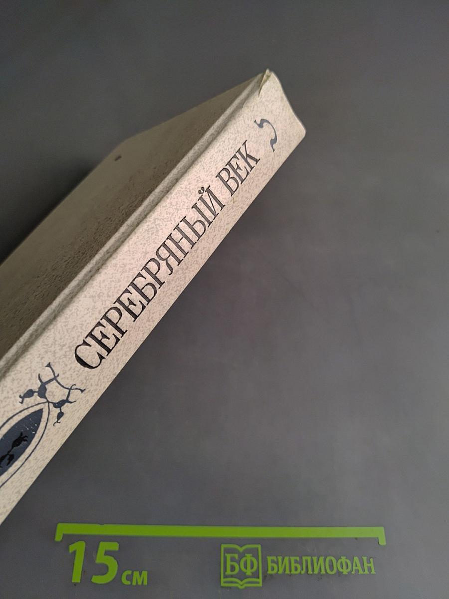Серебряный век. Петербургская поэзия конца XIX - начала XX в.