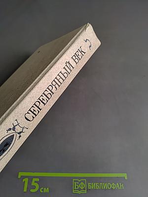 Серебряный век. Петербургская поэзия конца XIX - начала XX в.