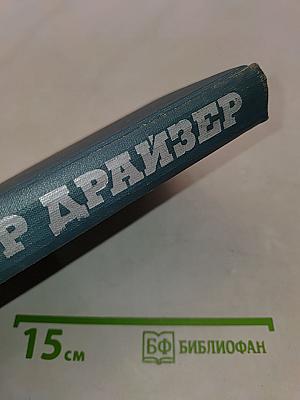 Американская трагедия. Том 8