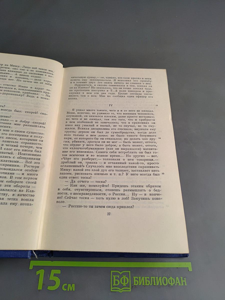 Полное собрание сочинений и писем. Том тринадцатый. Повести и рассказы. Стихотворения в прозе. Произведения разных годов. 1878-1883