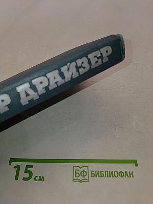 Американская трагедия. Том 9
