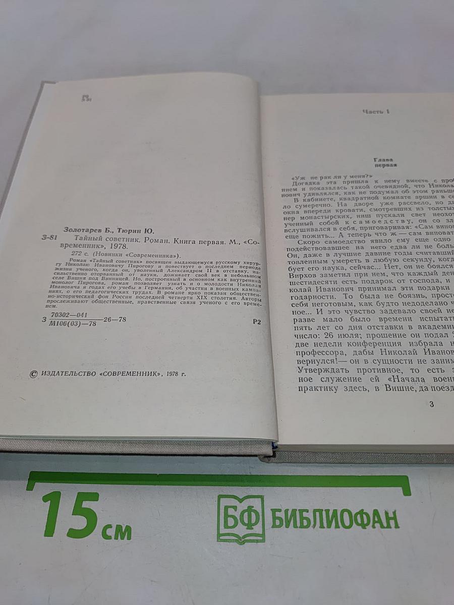 Тайный советник. Роман. Книга первая
