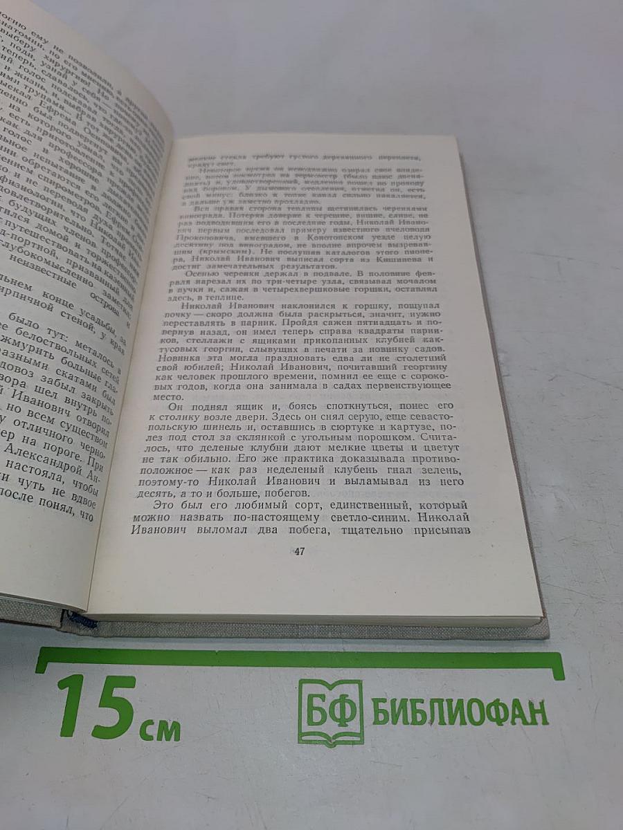 Тайный советник. Роман. Книга первая