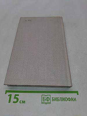 Тайный советник. Роман. Книга первая