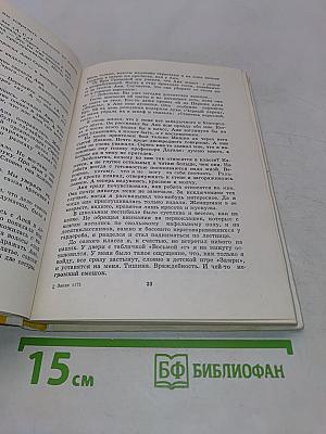 Мишка, Серега и я