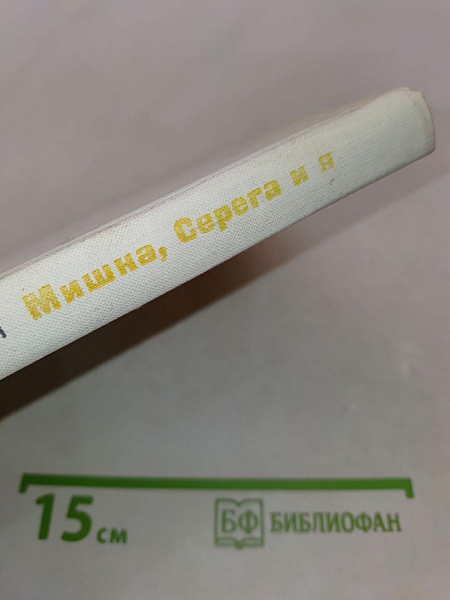 Мишка, Серега и я