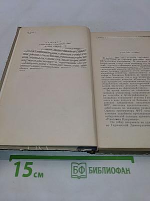 Невидимое правительство