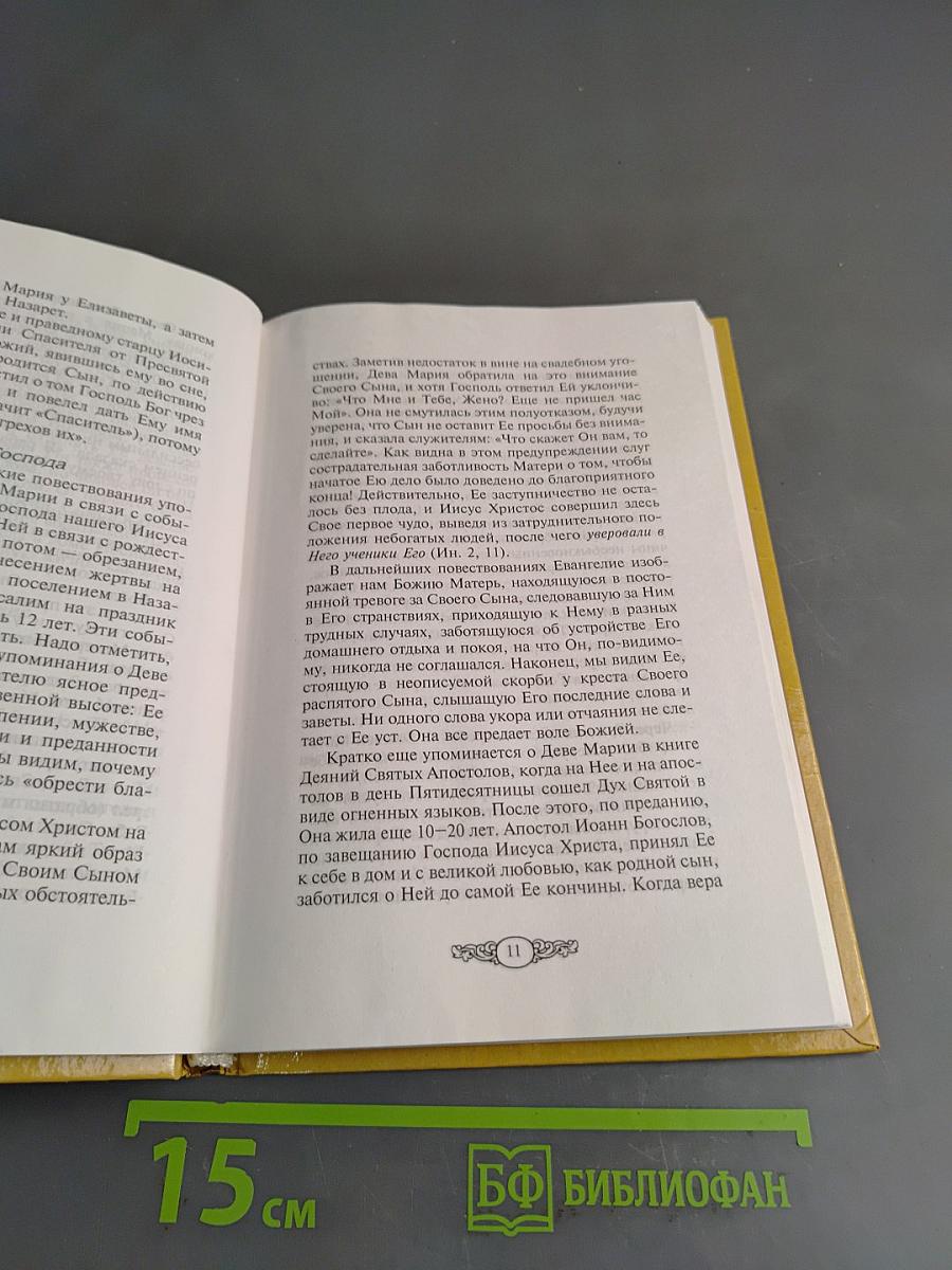 Царице моя Преблагая. Чудотворные иконы Пресвятой Богородицы. Описание. Тропари. Молитвы