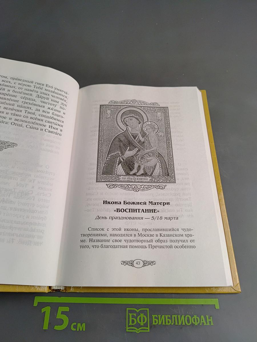 Царице моя Преблагая. Чудотворные иконы Пресвятой Богородицы. Описание. Тропари. Молитвы