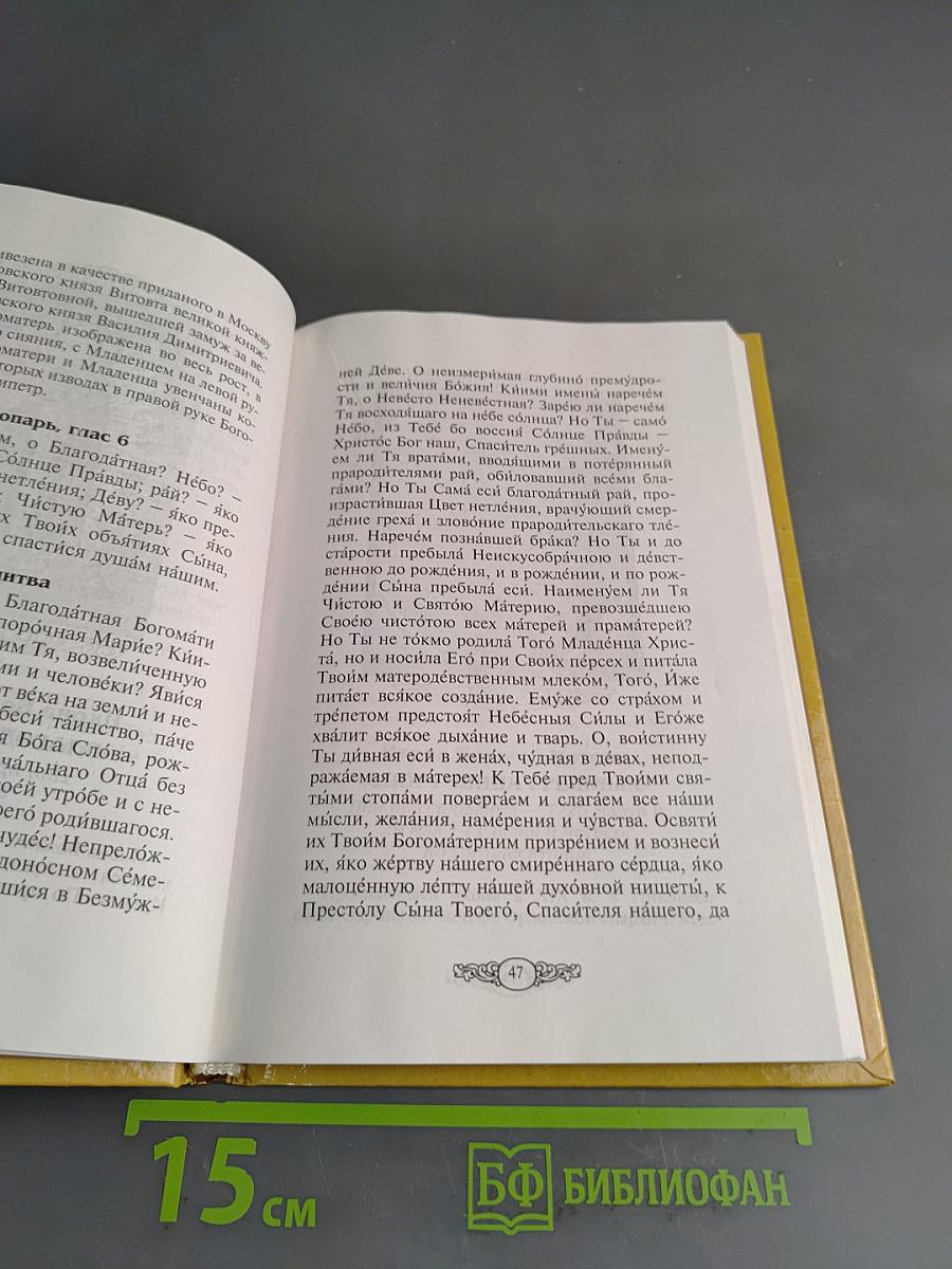 Царице моя Преблагая. Чудотворные иконы Пресвятой Богородицы. Описание. Тропари. Молитвы