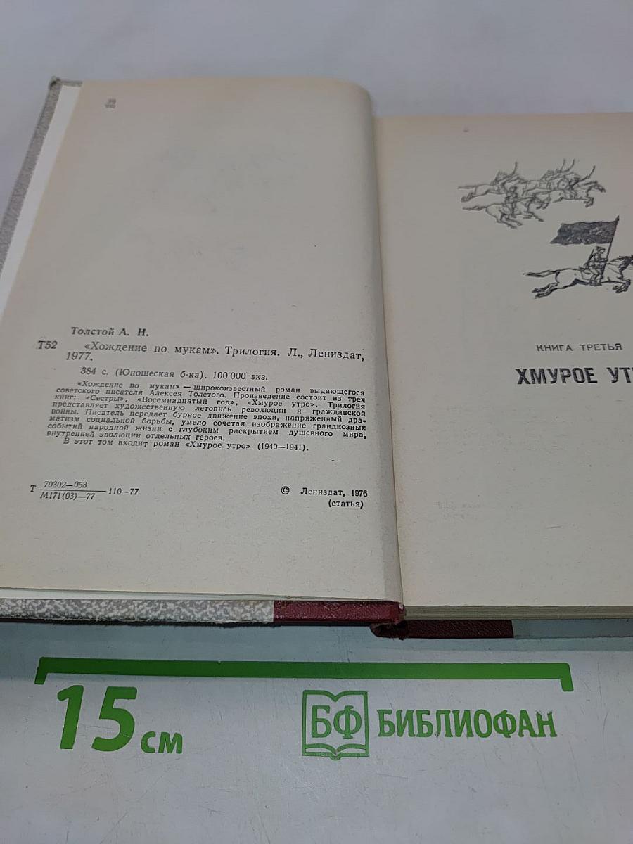 Хождение по мукам. Трилогия. Книга третья. Хмурое утро