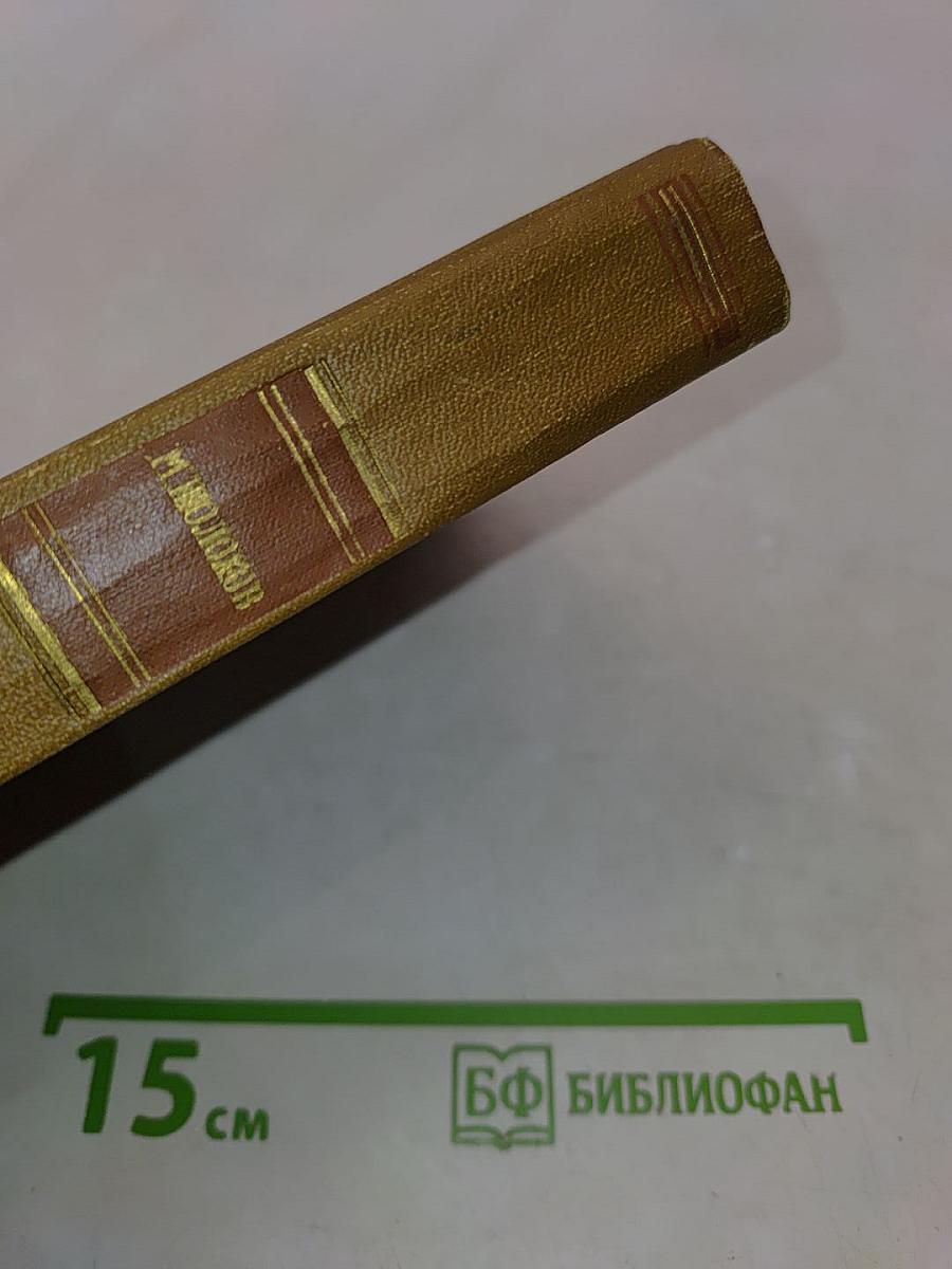 Тихий Дон. Том 2
