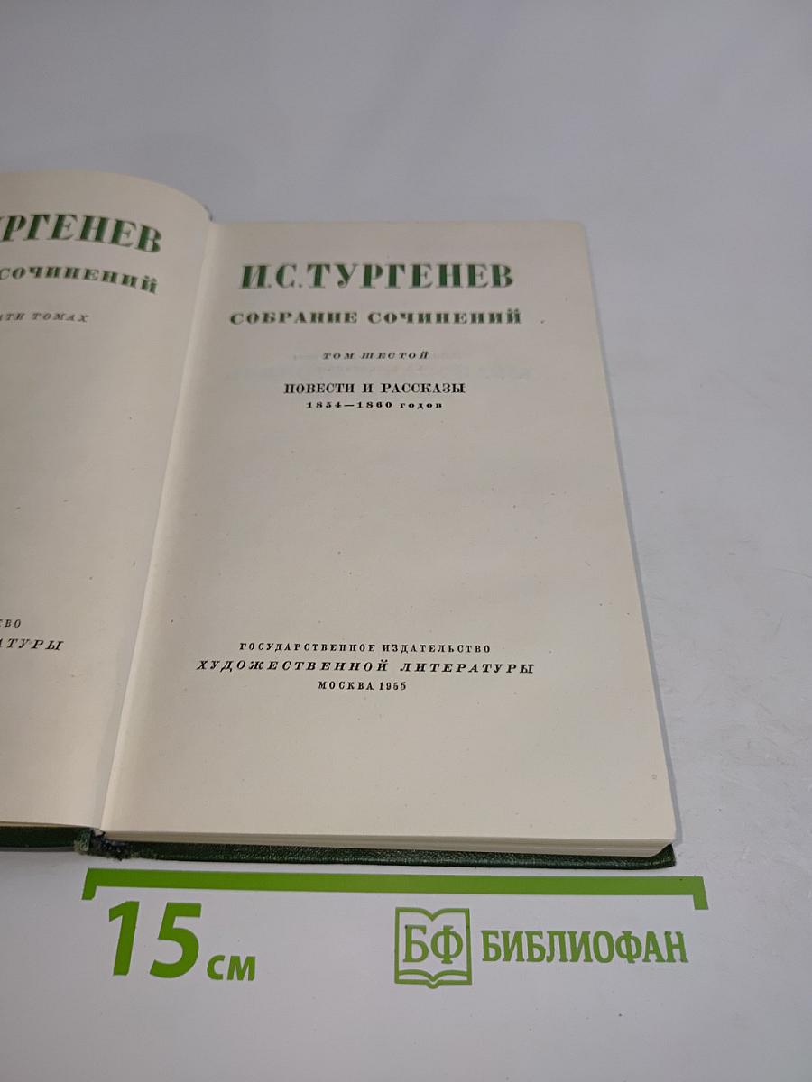 Собрание сочинений. Том шестой. Повести и рассказы 1854-1860 годов