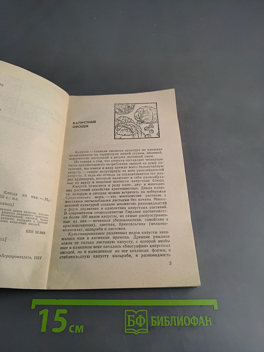 Капустные овощи и блюда из них