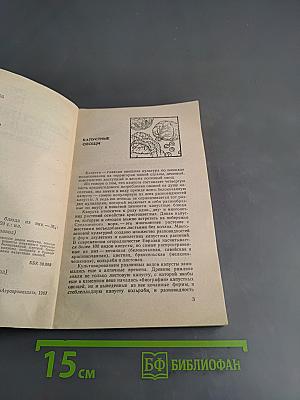Капустные овощи и блюда из них