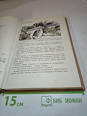 Армия Трясогузки