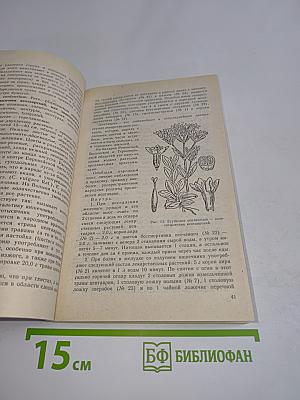 Лекарственные растения и способы их применения в народе