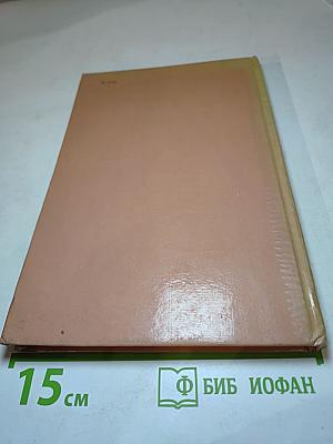 Армия Трясогузки