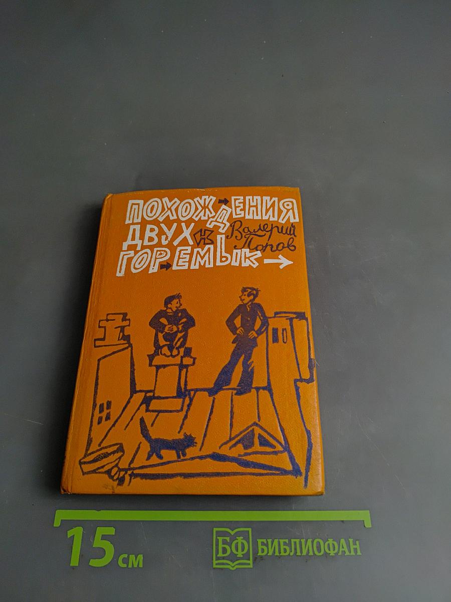 Похождения двух горемык