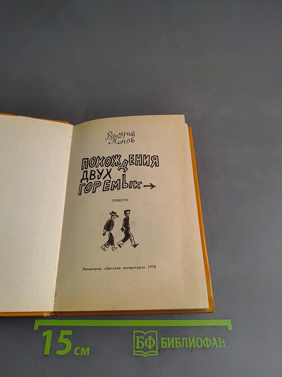 Похождения двух горемык