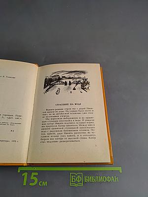 Похождения двух горемык