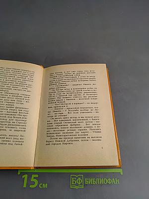 Похождения двух горемык