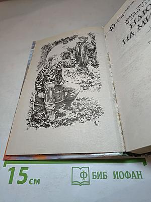 Плюс на минус