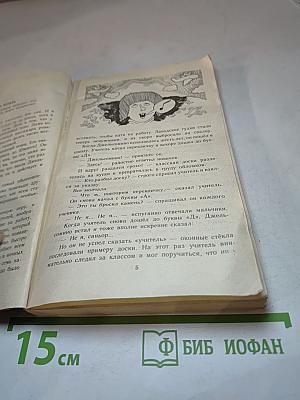 Джельсомино в стране лгунов. Шляпа Волшебника