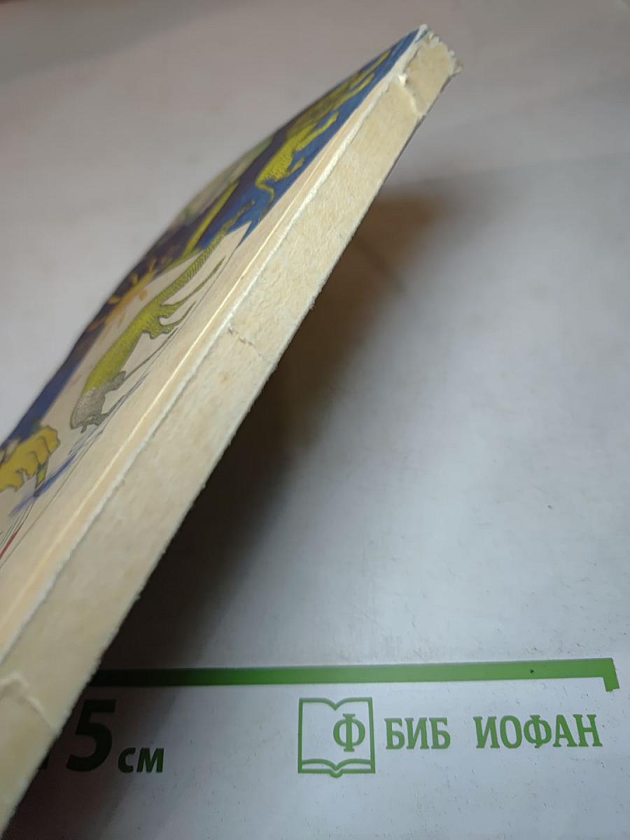 Джельсомино в стране лгунов. Шляпа Волшебника