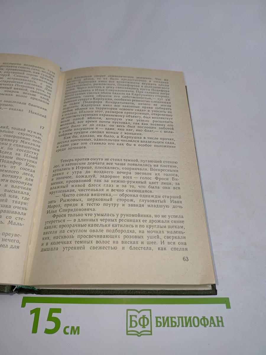 Вишневый омут. Карюха. Хлеб - имя существительное