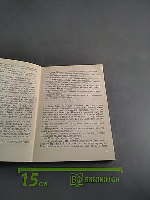 Возвращение чемпиона
