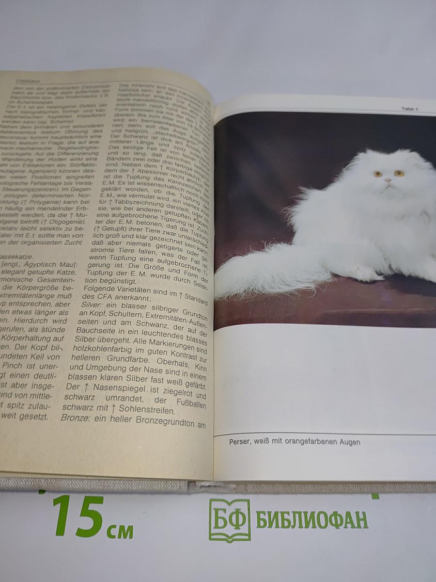 Bi-Lexikon Rassekatzen