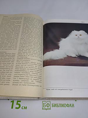 Bi-Lexikon Rassekatzen