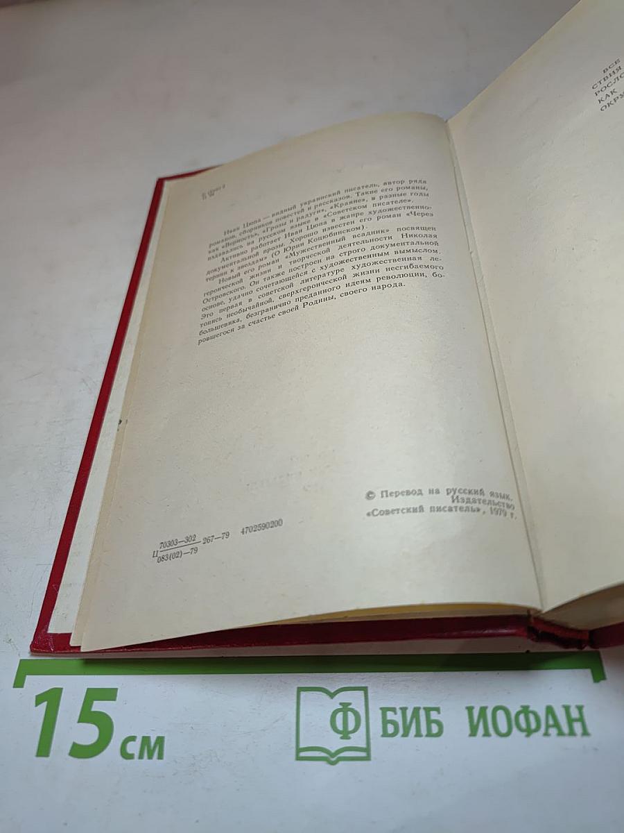 Мужественный всадник