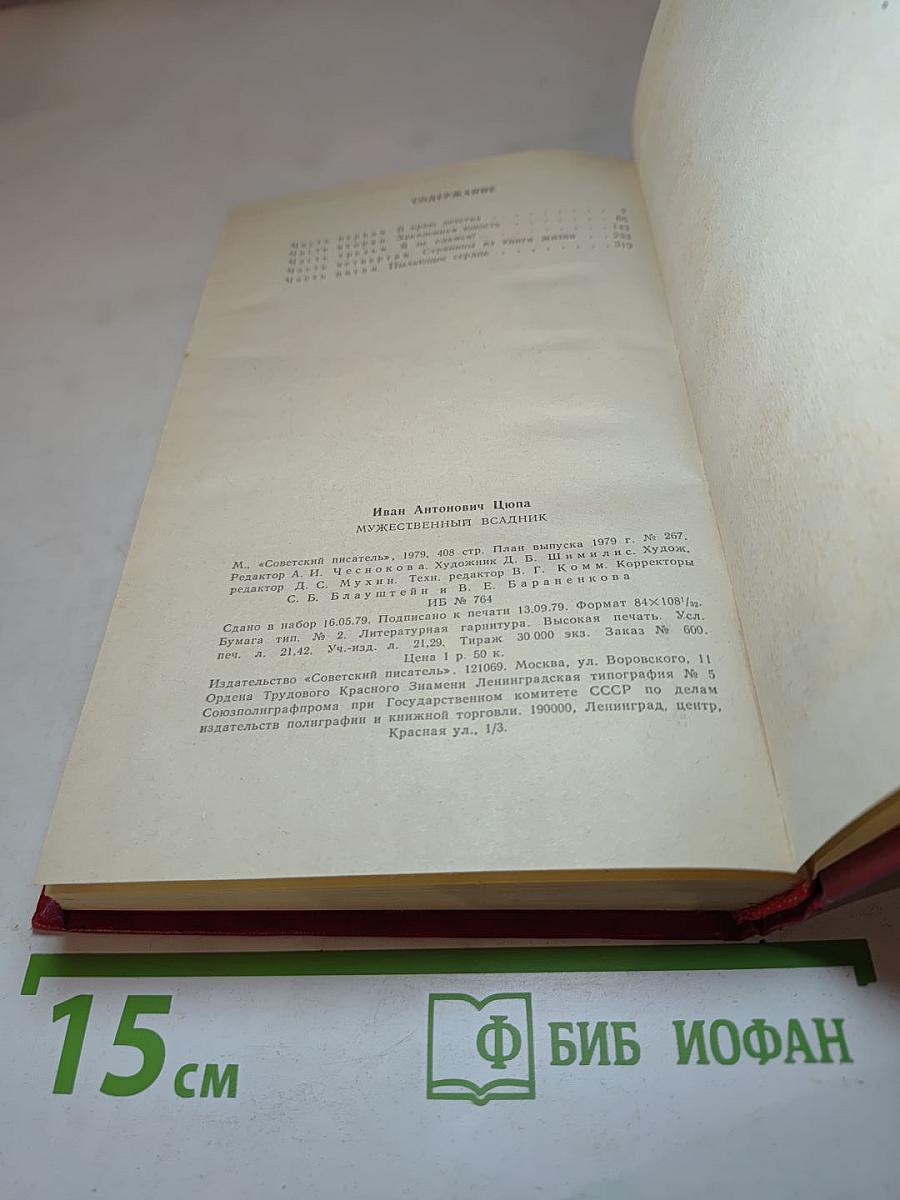 Мужественный всадник