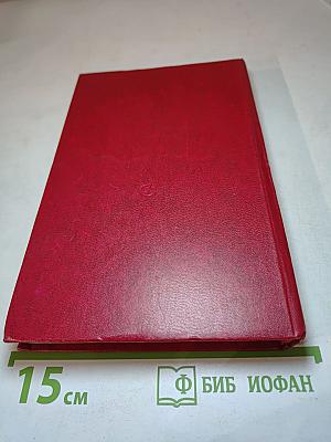 Мужественный всадник