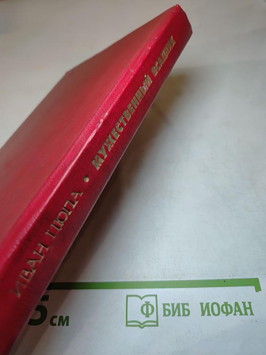 Мужественный всадник