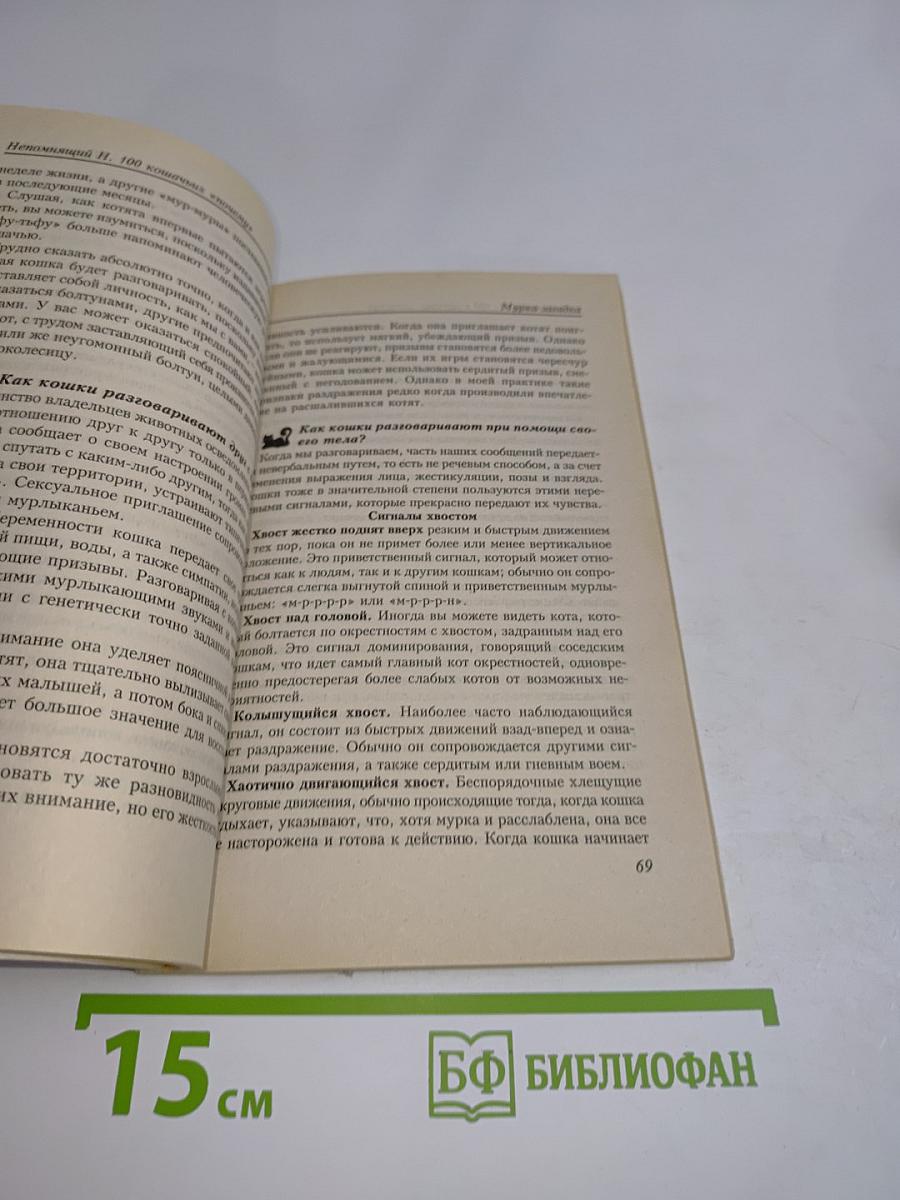 100 кошачьих «почему»