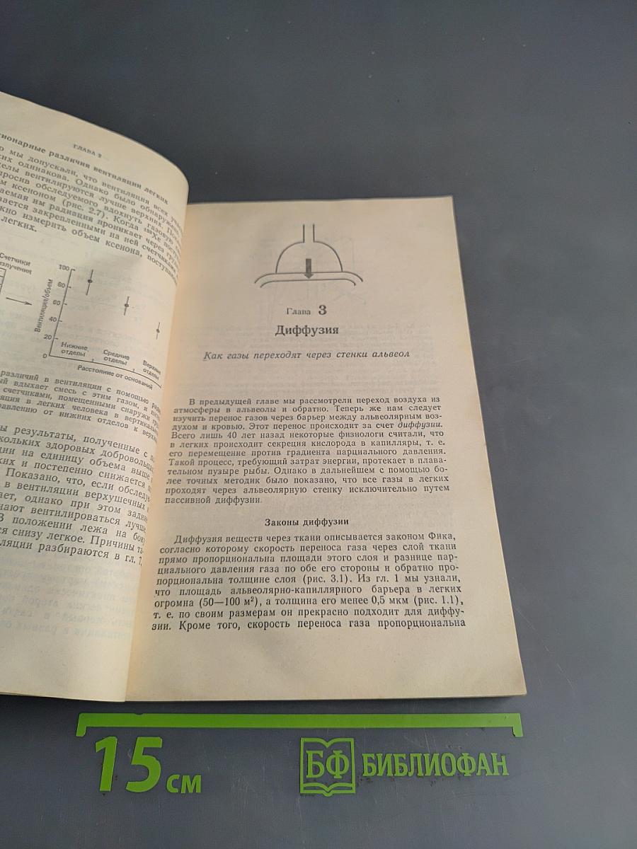 Физиология дыхания. Основы