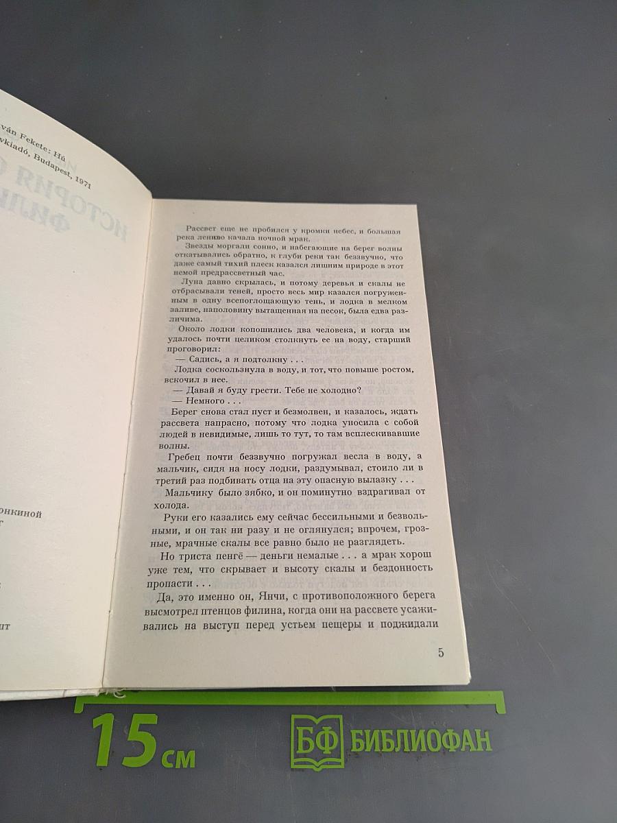 История одного филина