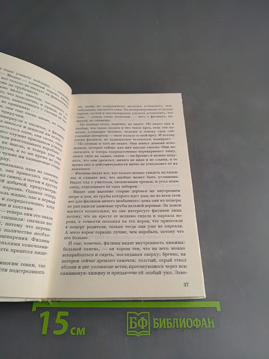 История одного филина
