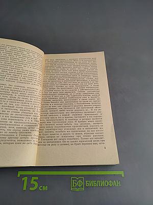 Статьи о литературе (Школьная библиотека)