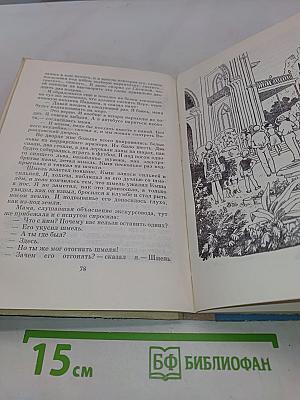 Кыш и я в Крыму